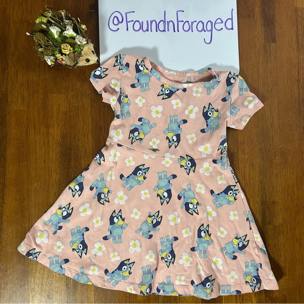 Bluey Skater Dress | Pink Floral Twirl Style | Playwear | Girls Size 4T
